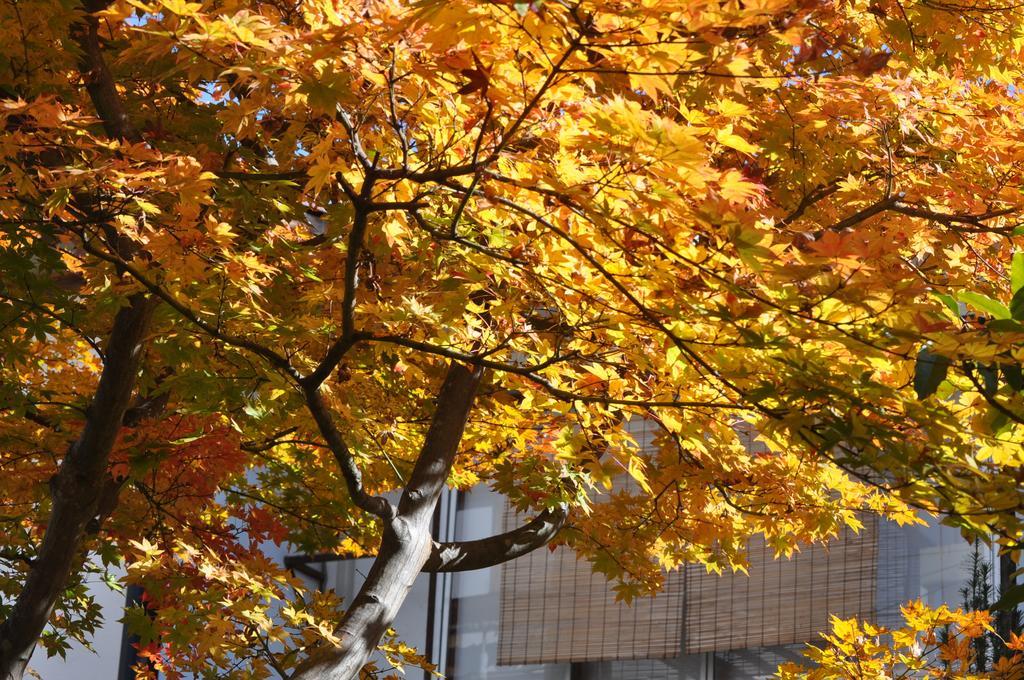 Yudanaka Yumoto Hotel Yamanouchi  Buitenkant foto