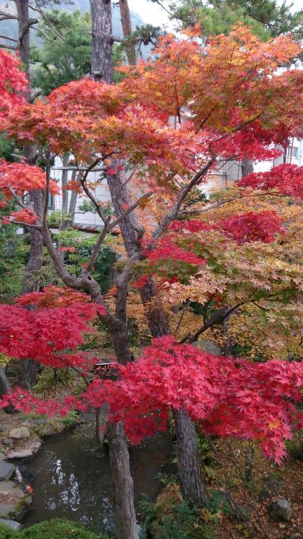 Yudanaka Yumoto Hotel Yamanouchi  Buitenkant foto